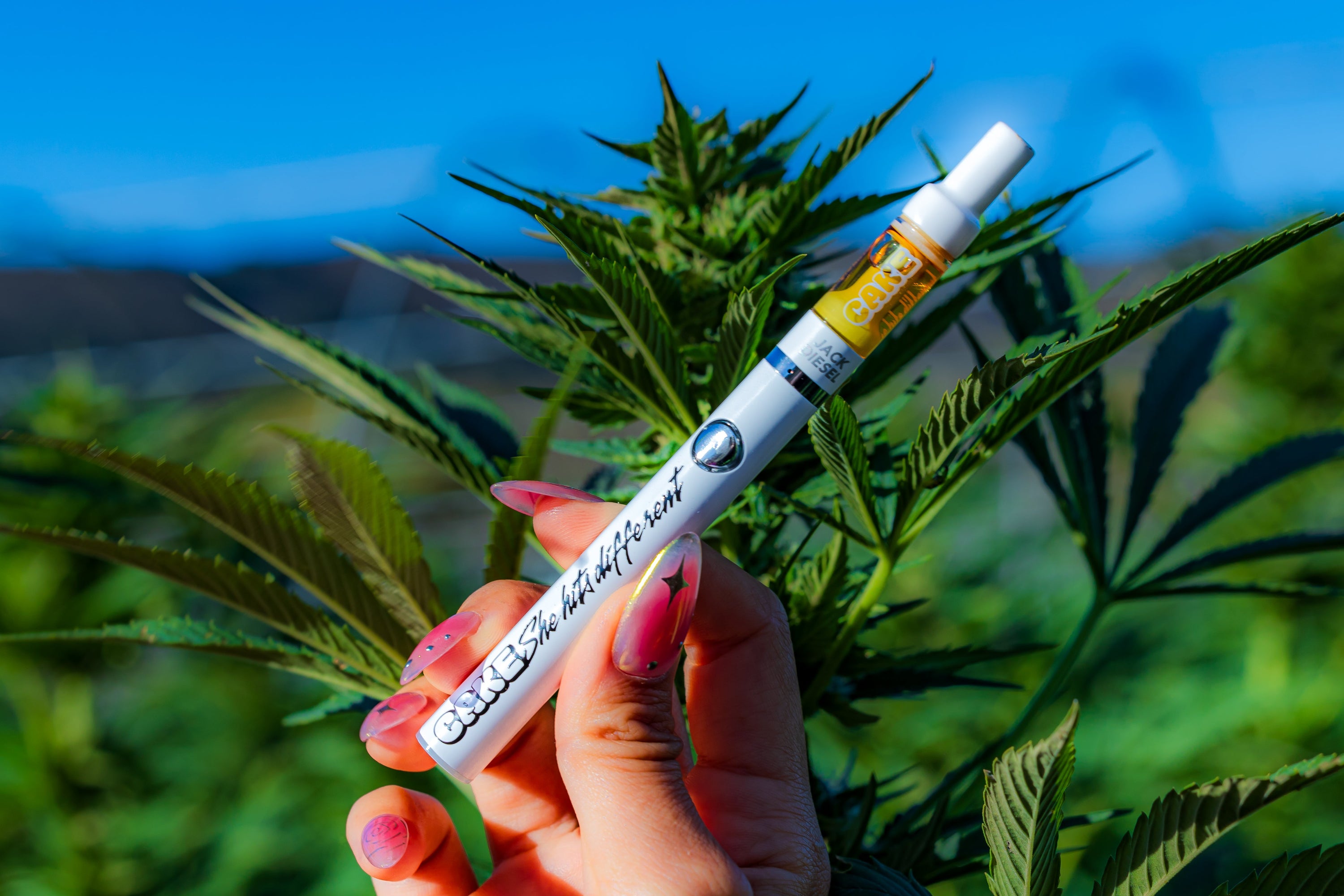 paradise smoke and vape PARADISE TOBACCO AND CIGAR VAPE - Updated May 2026 - 1926 De La Vina St,  Santa Barbara, California - Tobacco Shops - Phone Number